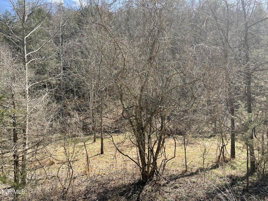 Photo #3: 1028 Pumpkin Valley Road