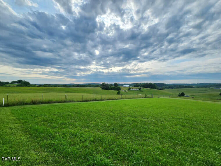 Photo #6: 00 Jones Bridge Road