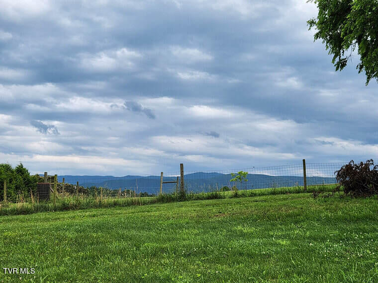 Photo #5: 00 Jones Bridge Road