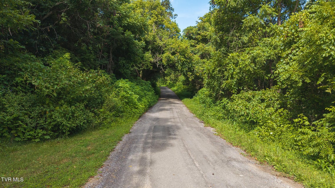 Photo #9: 0 Gravley Valley Road