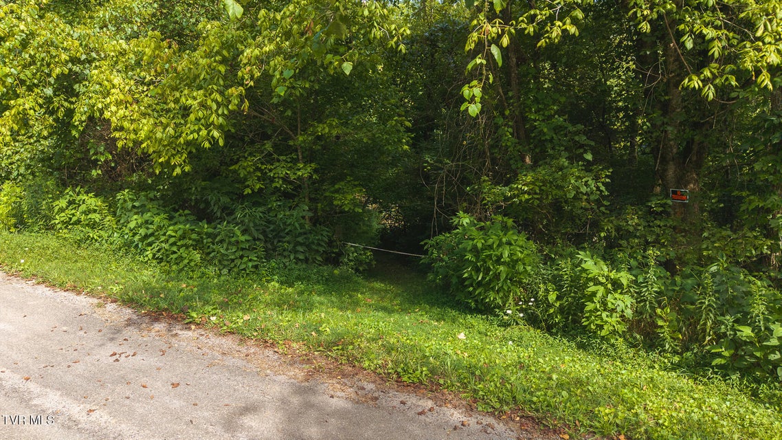 Photo #10: 0 Gravley Valley Road