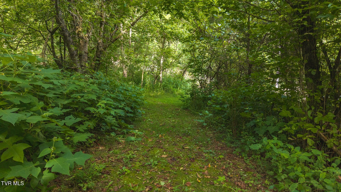 Photo #11: 0 Gravley Valley Road