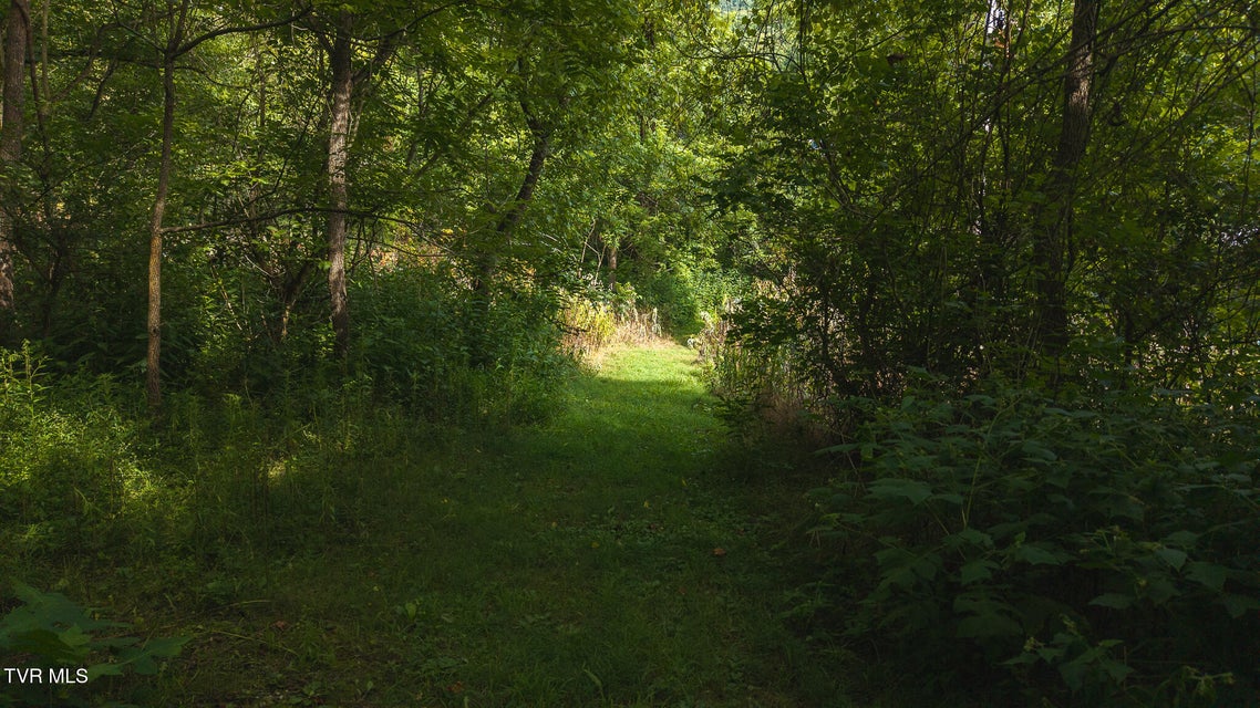 Photo #12: 0 Gravley Valley Road
