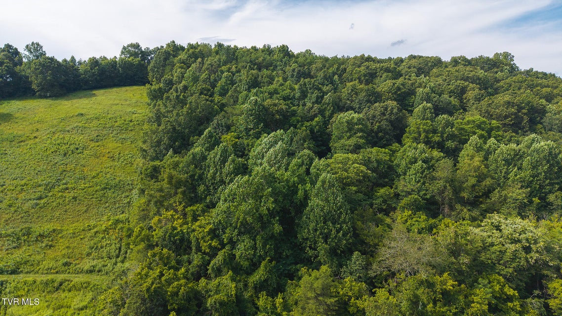 Photo #14: 0 Gravley Valley Road