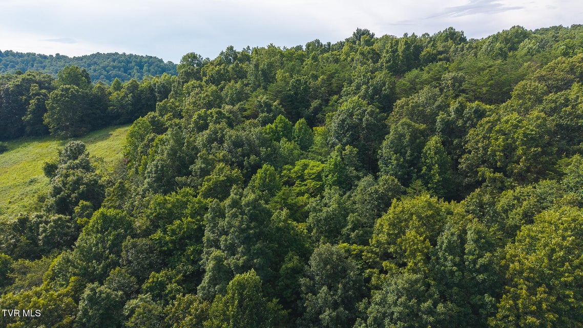 Photo #5: 0 Gravley Valley Road