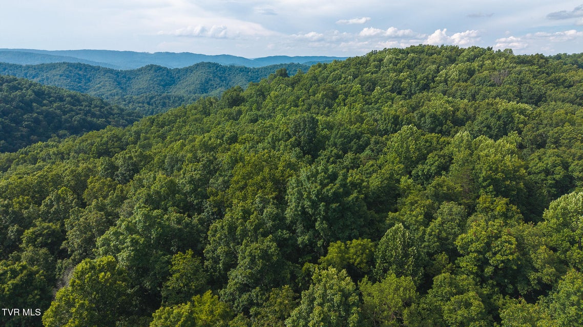 Photo #4: 0 Gravley Valley Road