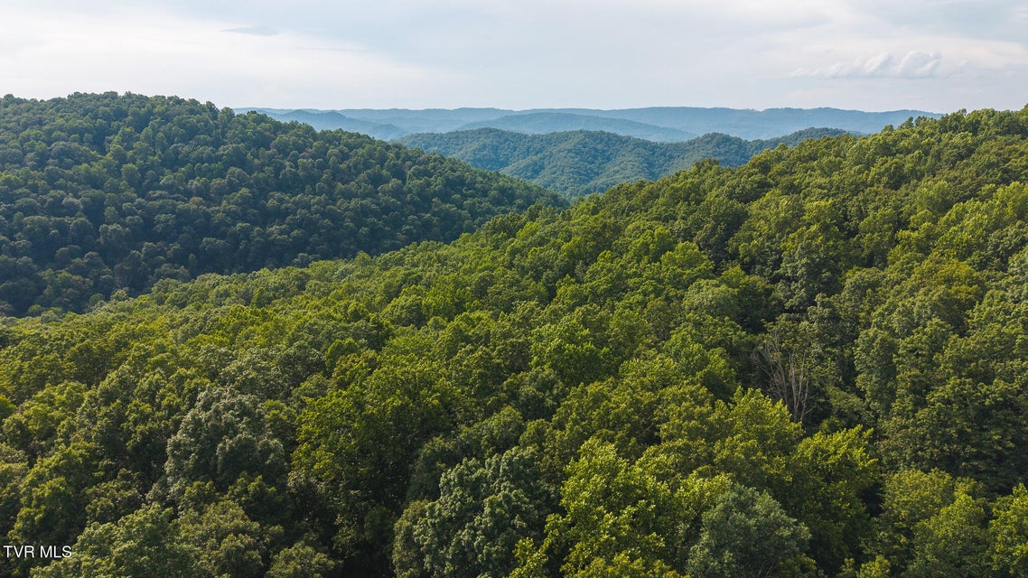 Photo #3: 0 Gravley Valley Road
