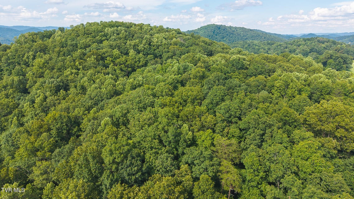 Photo #7: 0 Gravley Valley Road