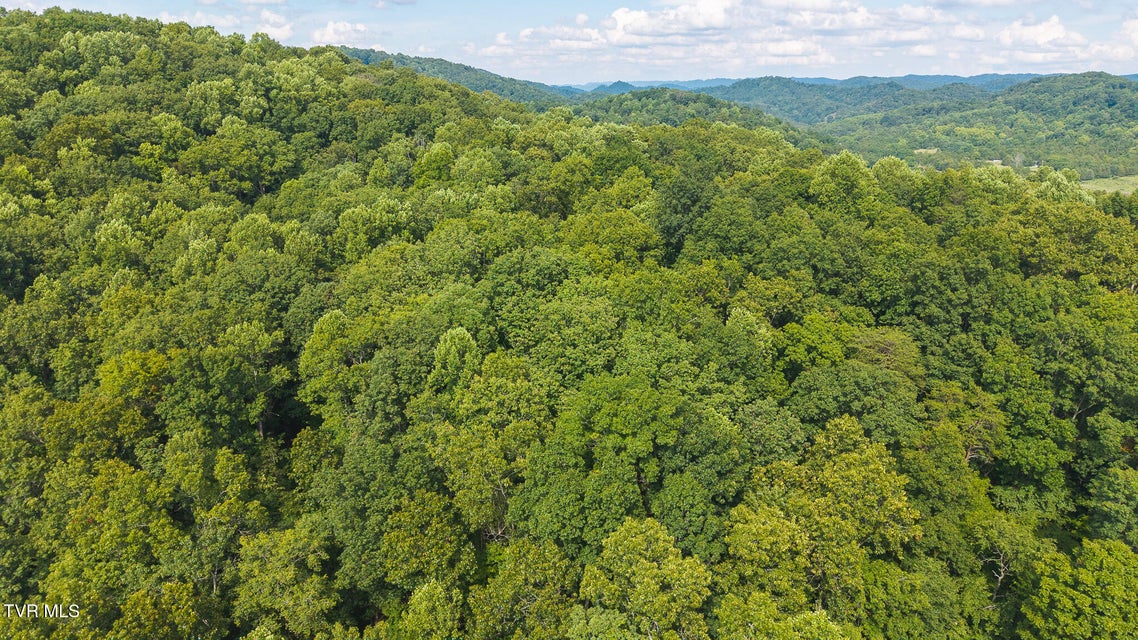 Photo #6: 0 Gravley Valley Road