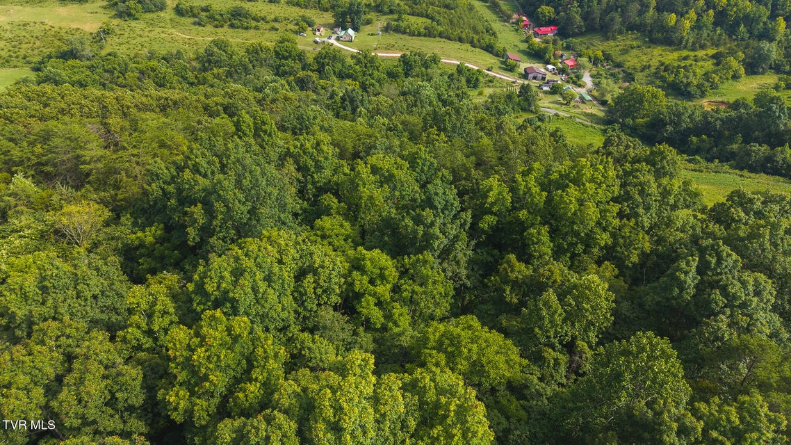 Photo #18: 0 Gravley Valley Road