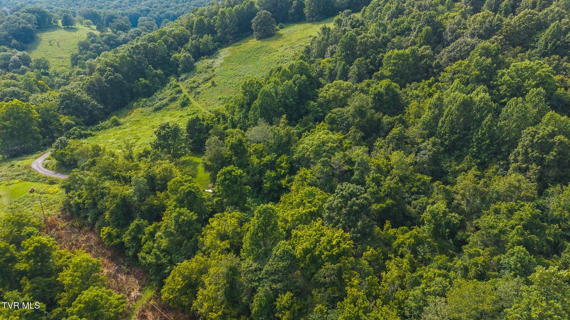 Photo #8: 0 Gravley Valley Road