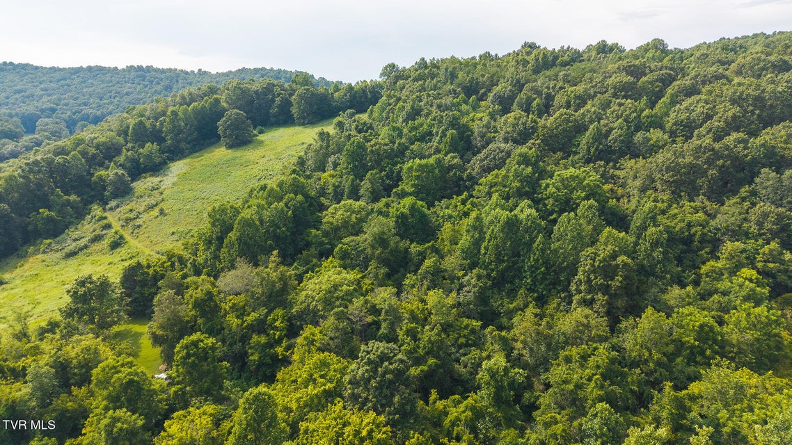 Photo #21: 0 Gravley Valley Road