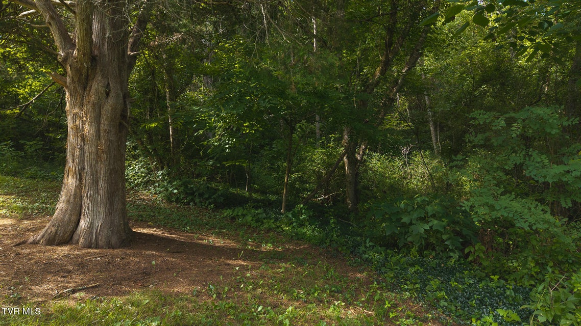 Photo #22: 0 Gravley Valley Road