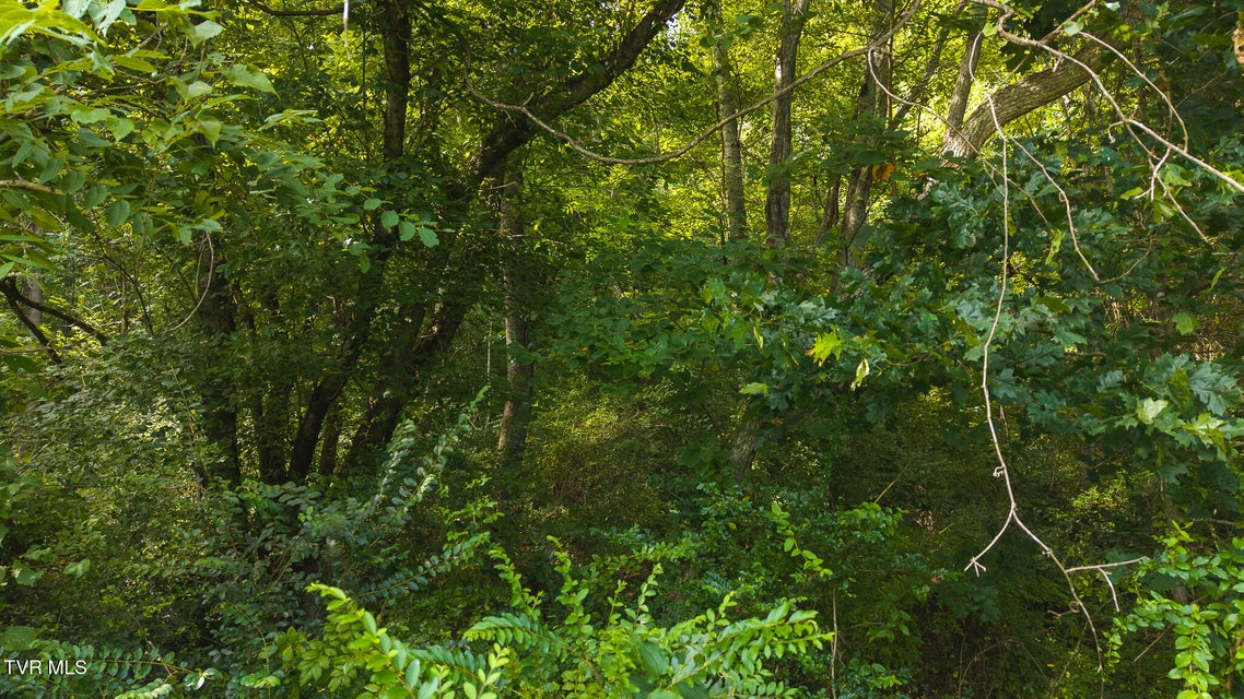 Photo #24: 0 Gravley Valley Road