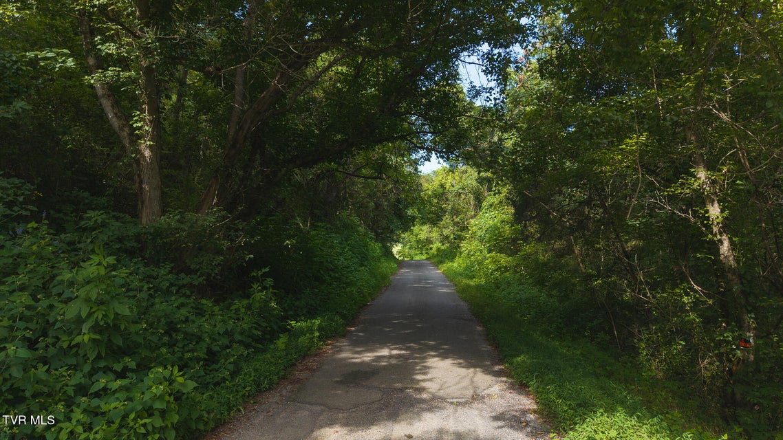Photo #25: 0 Gravley Valley Road