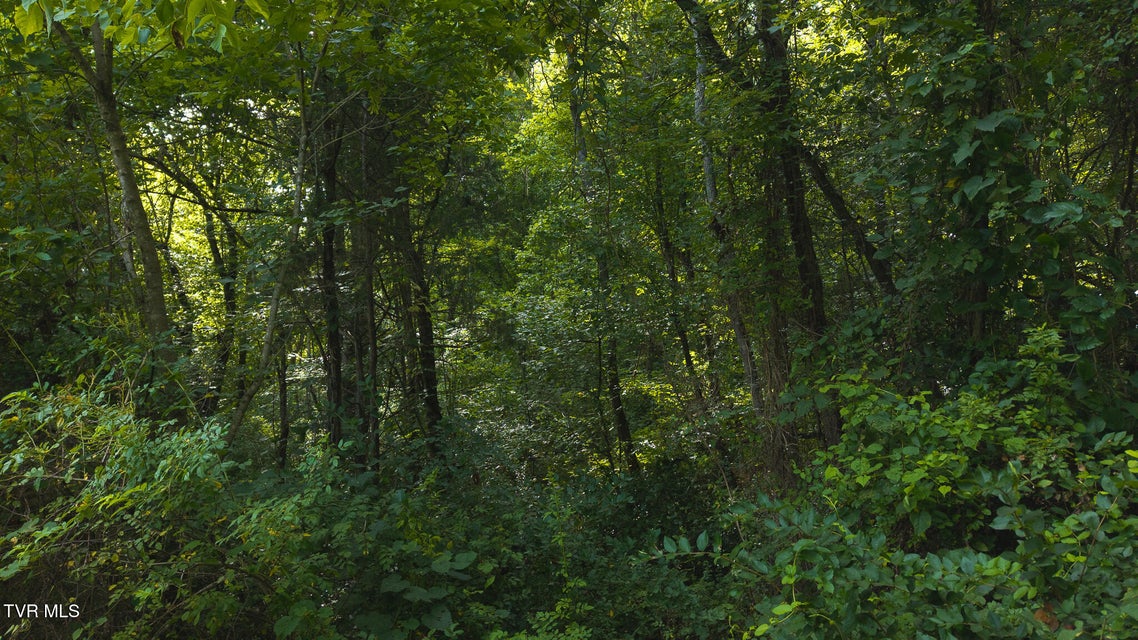 Photo #27: 0 Gravley Valley Road
