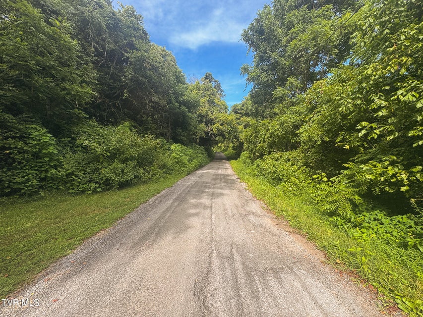 Photo #28: 0 Gravley Valley Road