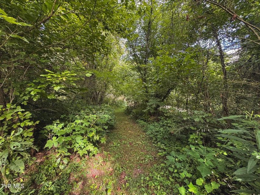 Photo #29: 0 Gravley Valley Road