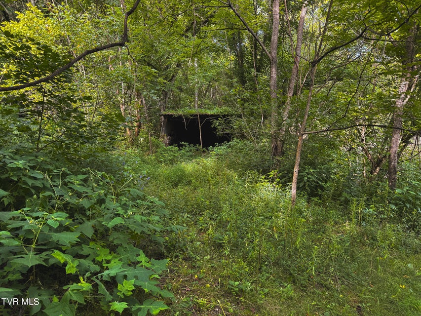 Photo #30: 0 Gravley Valley Road