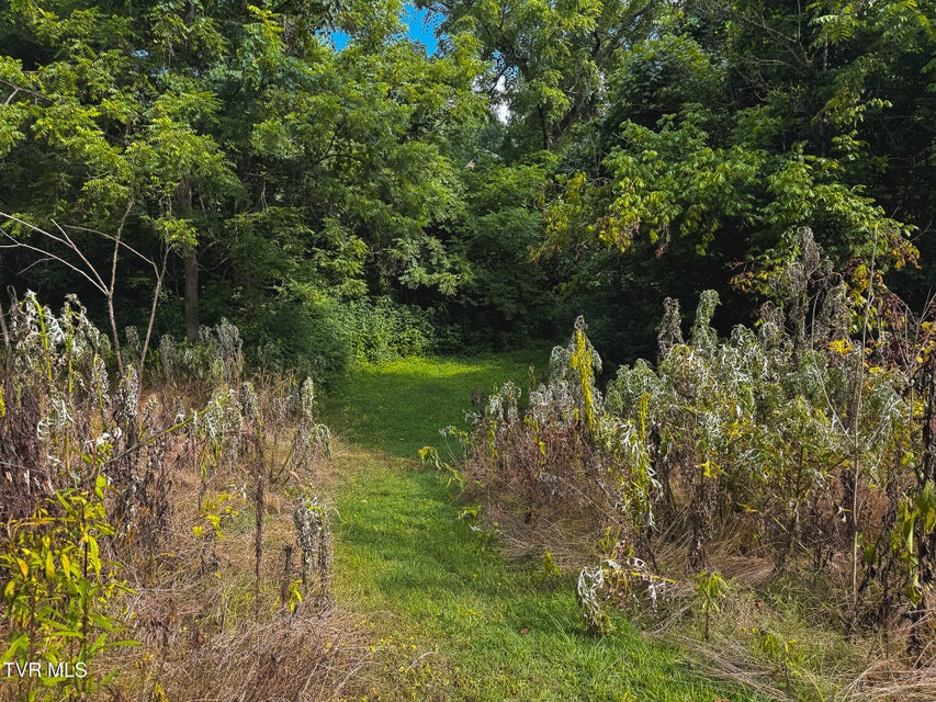 Photo #31: 0 Gravley Valley Road