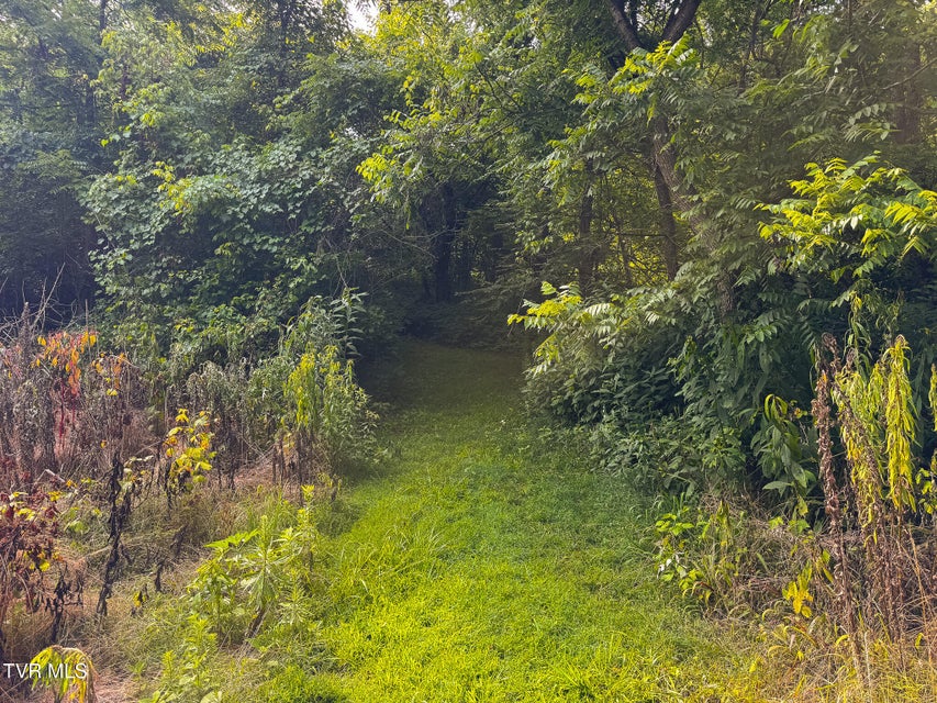 Photo #32: 0 Gravley Valley Road