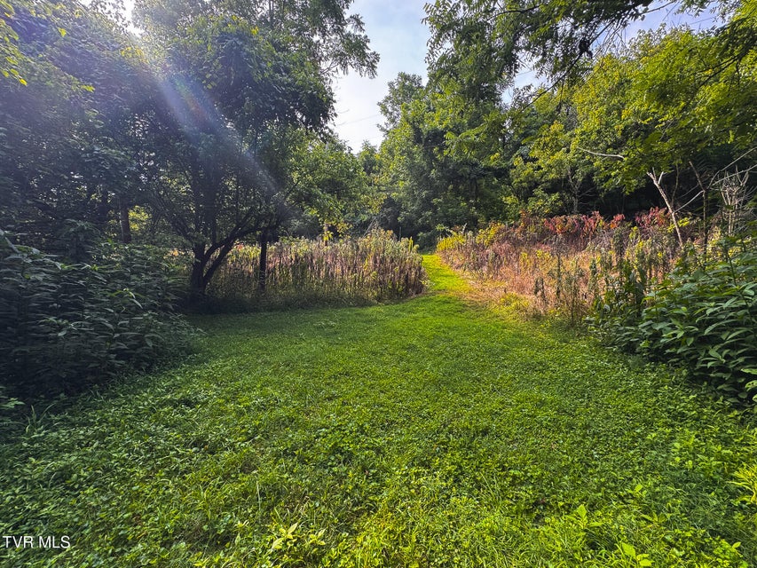Photo #34: 0 Gravley Valley Road