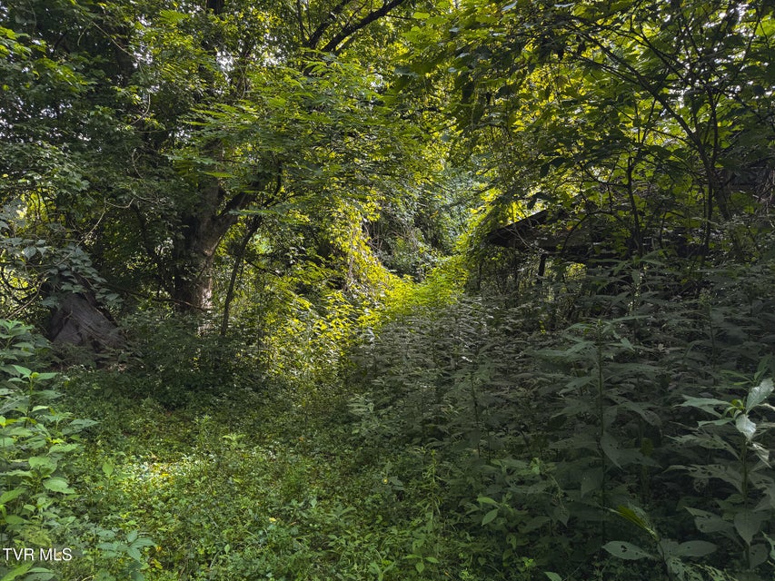 Photo #35: 0 Gravley Valley Road