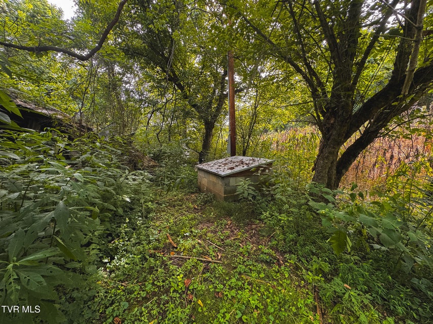 Photo #36: 0 Gravley Valley Road