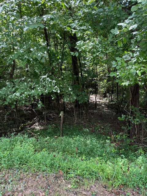 Photo #3: 0 Log Cabin Lane
