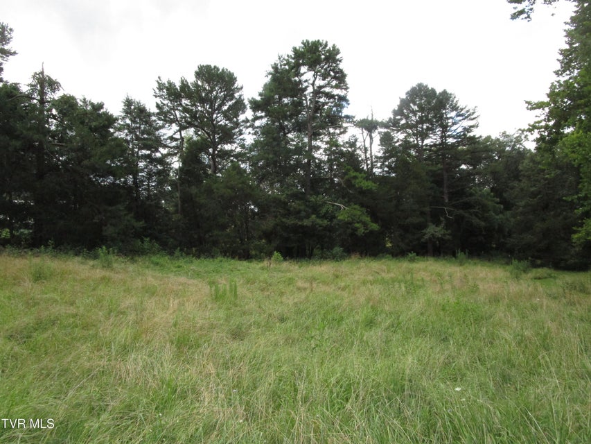 Photo #52: 2616 Volunteer Parkway
