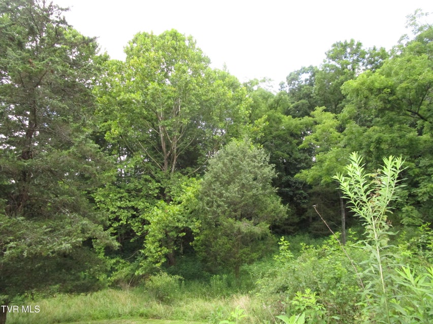 Photo #53: 2616 Volunteer Parkway