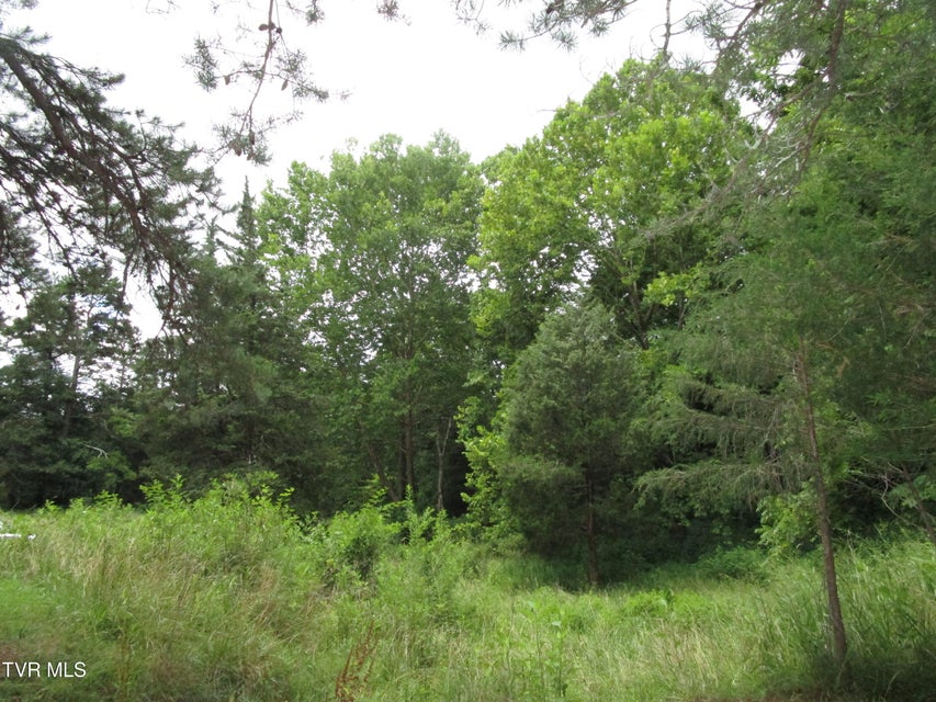 Photo #55: 2616 Volunteer Parkway
