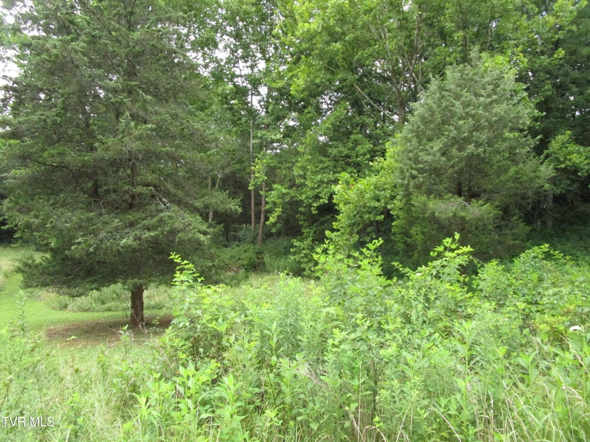 Photo #54: 2616 Volunteer Parkway
