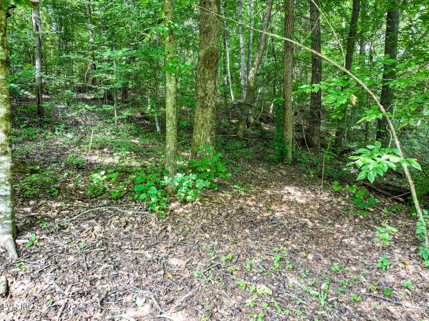 Photo #9: 190 Horse Creek Park Road