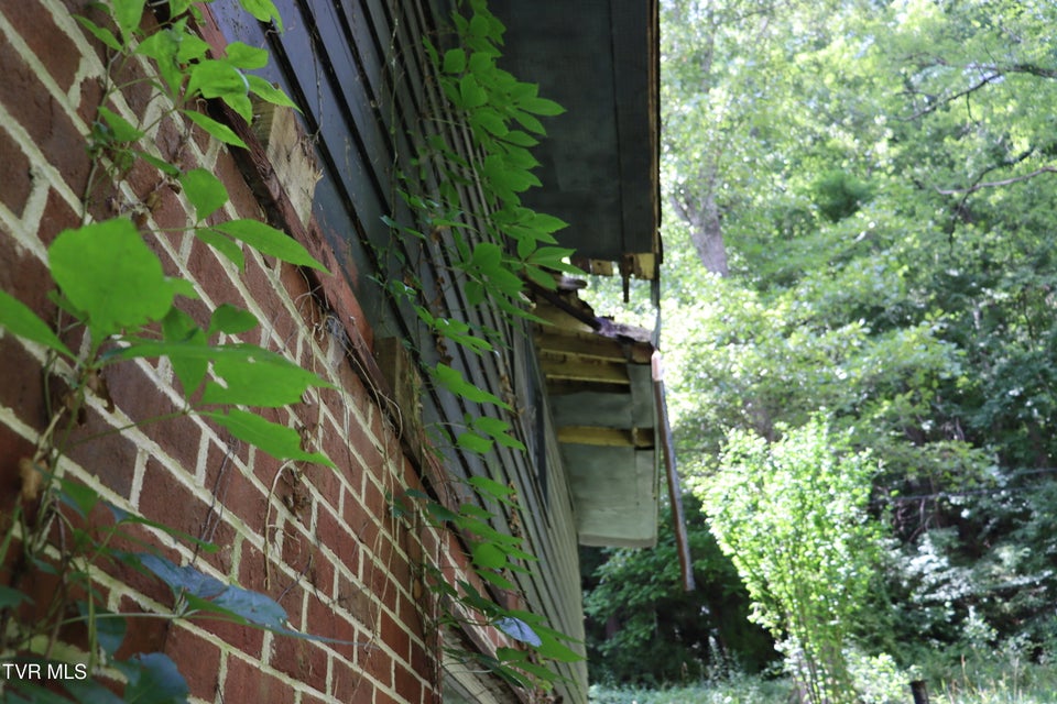 Photo #27: 438 Murphy Street