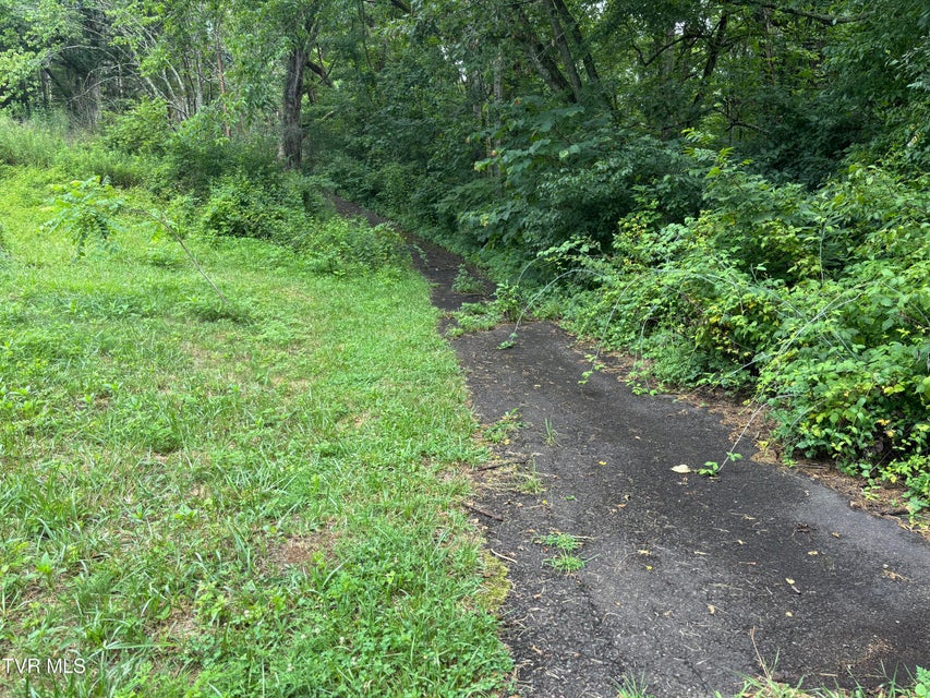 Photo #2: Tbd Of Fire Tower Road