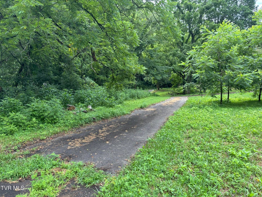 Photo #4: Tbd Of Fire Tower Road