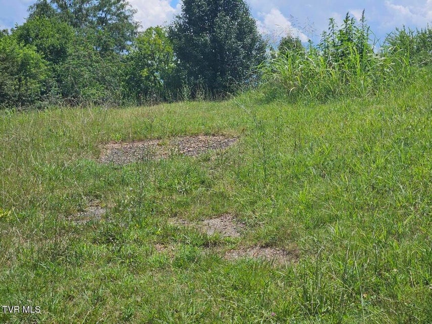 Photo #3: Tbd Old Stage Road