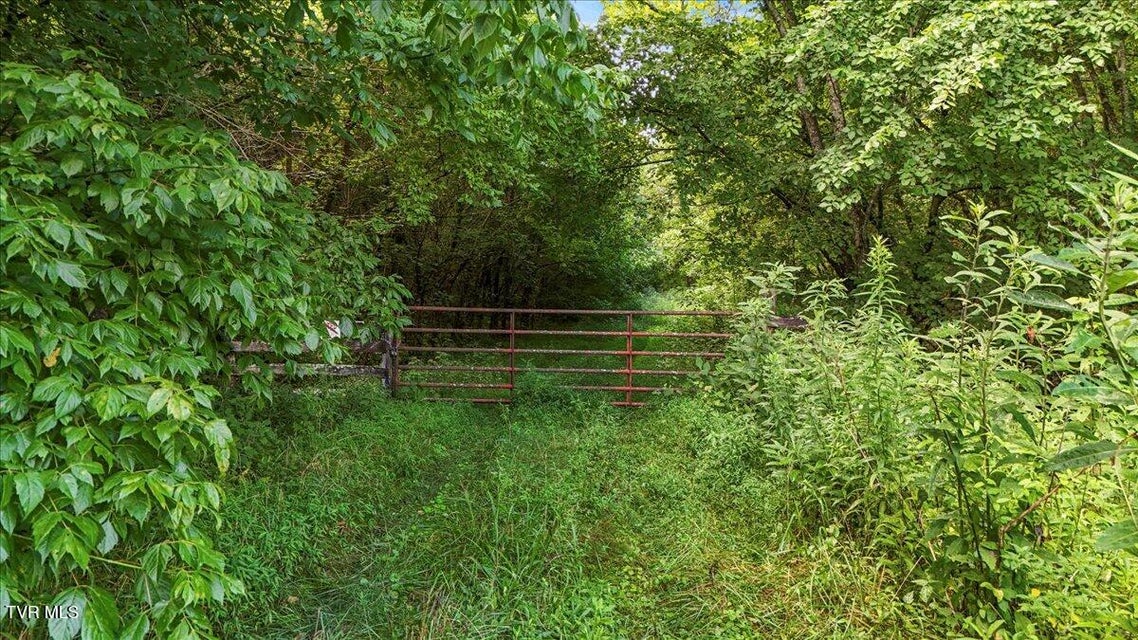 Photo #3: Tbd Jackson Cemetary Lane