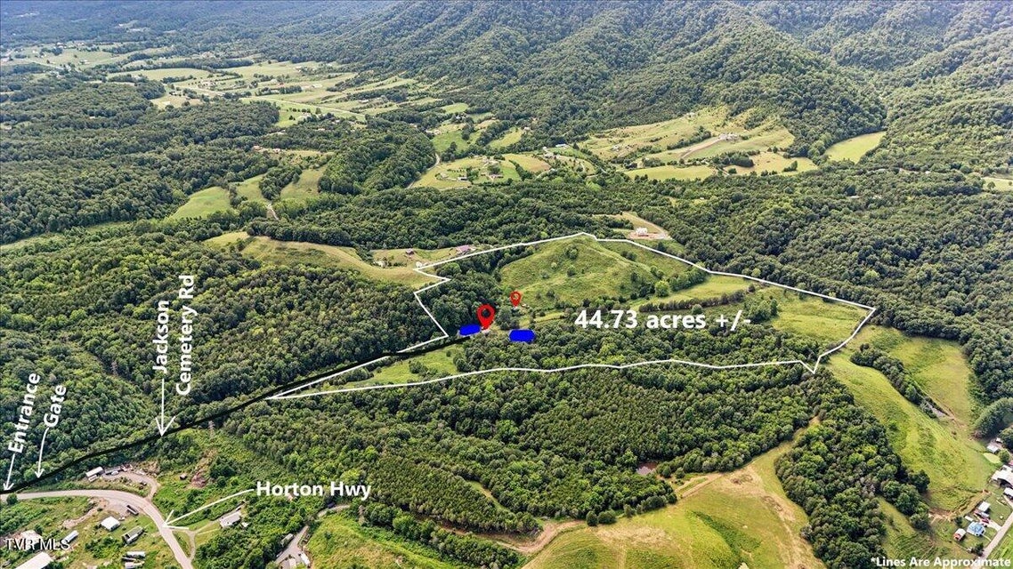 Photo #8: Tbd Jackson Cemetary Lane