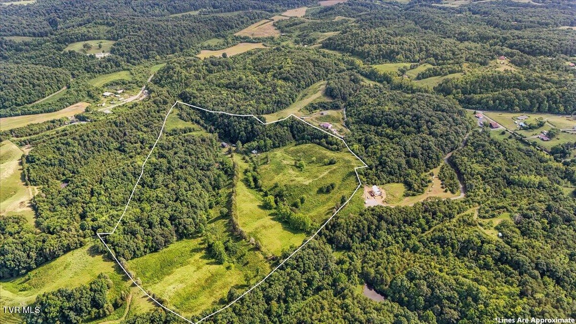 Photo #10: Tbd Jackson Cemetary Lane