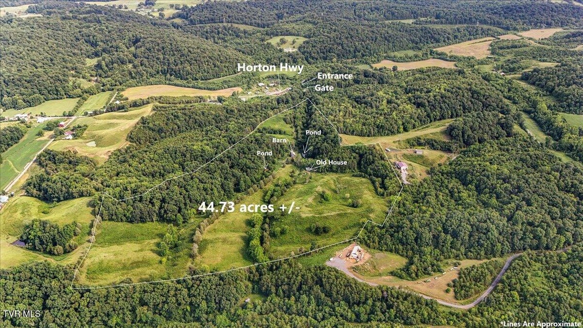 Photo #12: Tbd Jackson Cemetary Lane