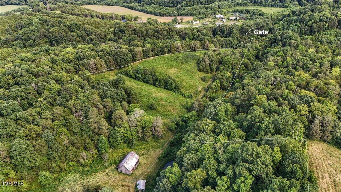 Photo #16: Tbd Jackson Cemetary Lane