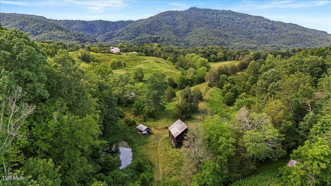 Photo #17: Tbd Jackson Cemetary Lane