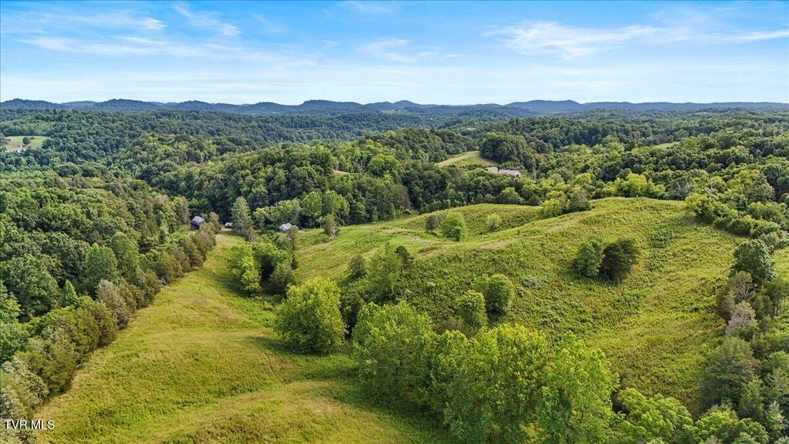 Photo #20: Tbd Jackson Cemetary Lane