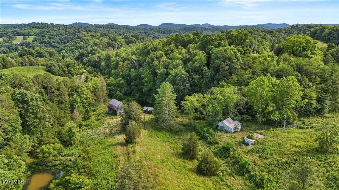 Photo #22: Tbd Jackson Cemetary Lane