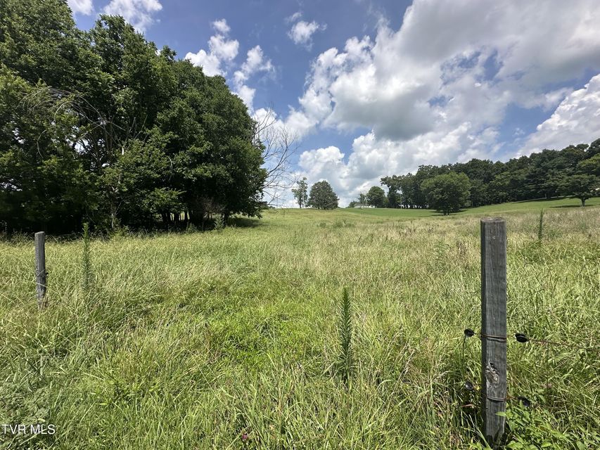 Photo #5: Lot 1 Shackleford Road