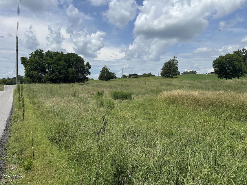 Photo #7: Lot 1 Shackleford Road