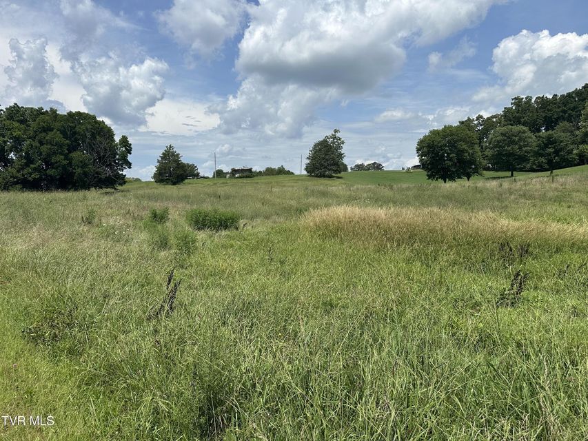 Photo #8: Lot 1 Shackleford Road