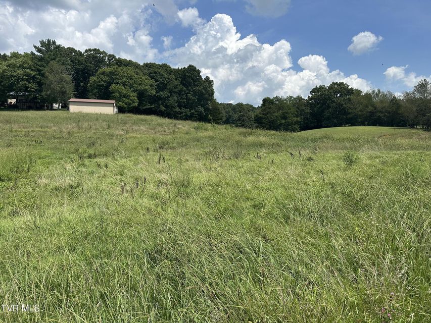 Photo #9: Lot 1 Shackleford Road